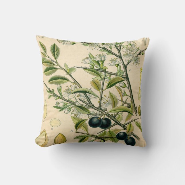 Antique Blackthorn Botanical Print Flower Berry Throw Pillow (Front)