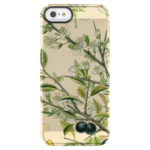 Antique Blackthorn Botanical Print Flower Berry Clear iPhone SE55s Case