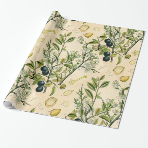 Antique Blackthorn Botanical Print Flower Berry Wrapping Paper