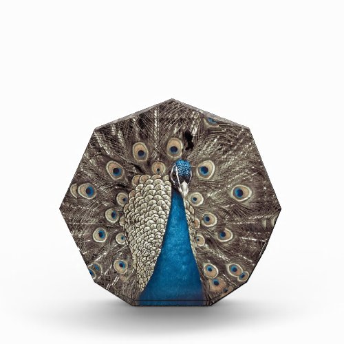 Antique Blue Peacock Acrylic Award