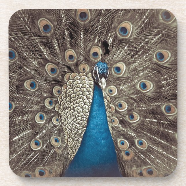 Antique Blue Peacock Beverage Coaster (Front)