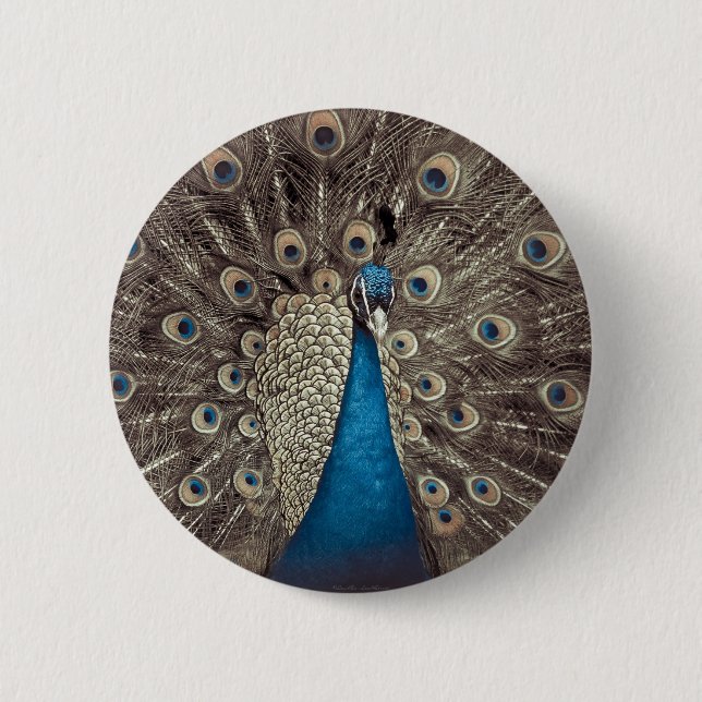 Antique Blue Peacock Button (Front)