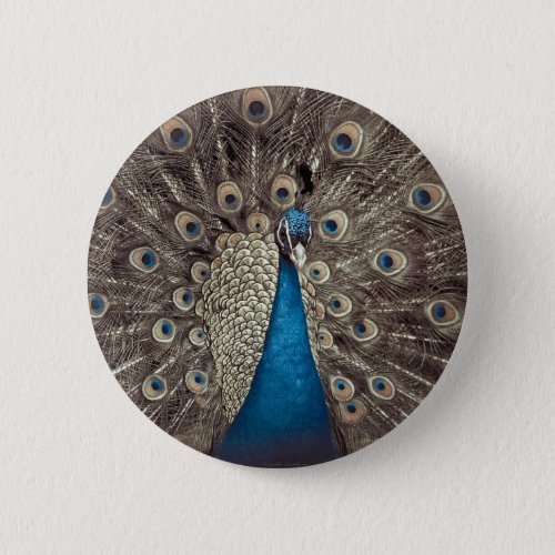 Antique Blue Peacock Button