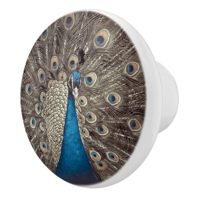 Antique Blue Peacock Ceramic Knob (Right)