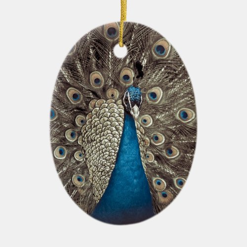 Antique Blue Peacock Ceramic Ornament
