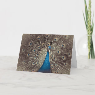 Antique Blue Peacock Folded Greeting Card