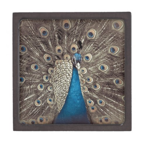 Antique Blue Peacock Gift Box