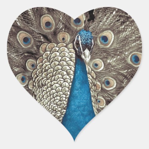 Antique Blue Peacock Heart Sticker