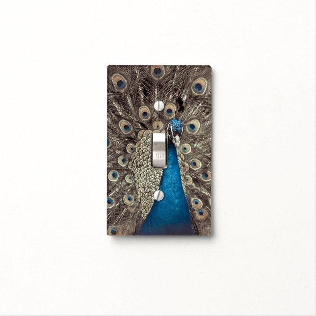 Antique Blue Peacock Light Switch Cover (In Situ)