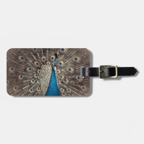 Antique Blue Peacock Luggage Tag