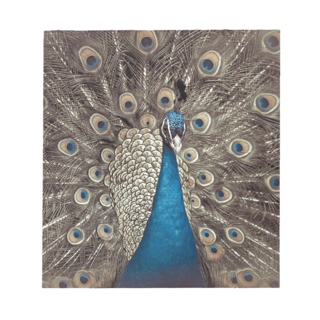 Antique Blue Peacock Notepad (Front)