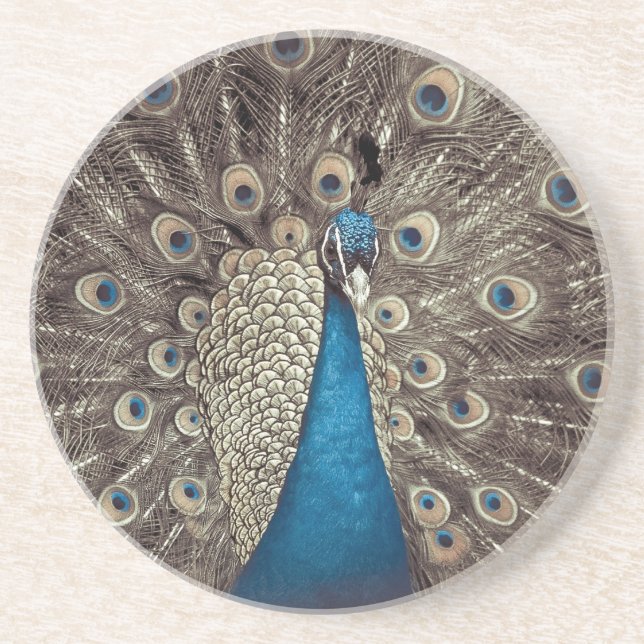 Antique Blue Peacock Sandstone Coaster (Front)