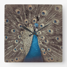 Antique Blue Peacock