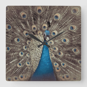 Antique Blue Peacock Square Wall Clock