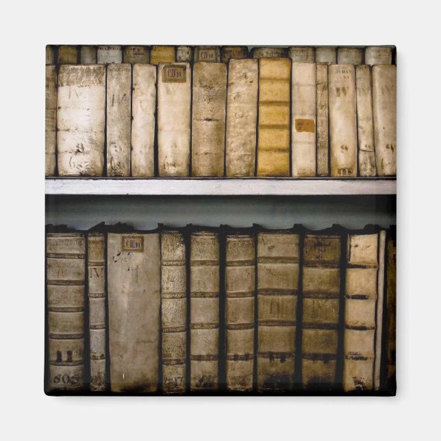 Antique Books 17th Century Vellum Bindings Magnet (Front)