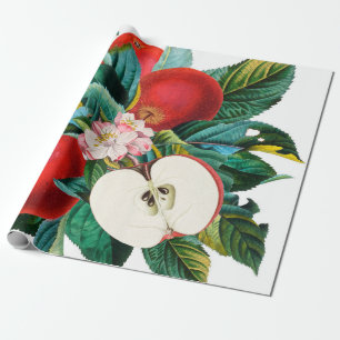 Antique botanical apple fruit arrangement, apple t wrapping paper