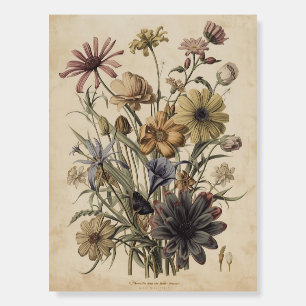 Antique Botanical Flower Plate Poster