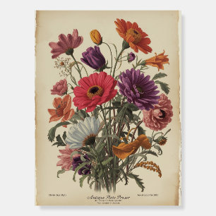 Antique Botanical Flower Plate Poster