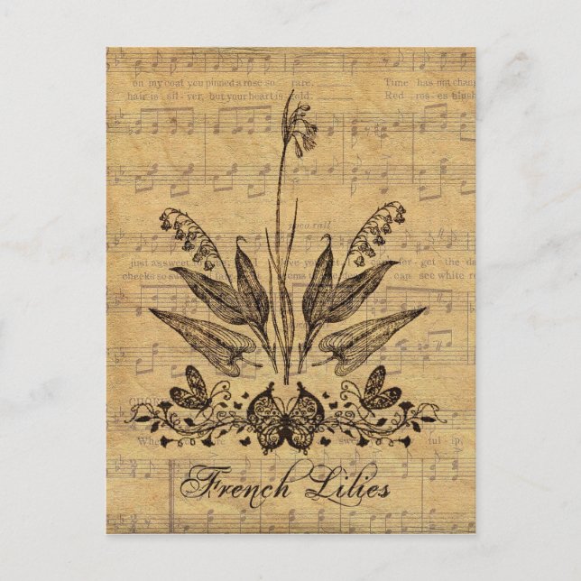Antique Botanical French Lillies Postcard (Front)