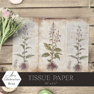 Antique Botanical Herbs Decoupage Tissue Paper