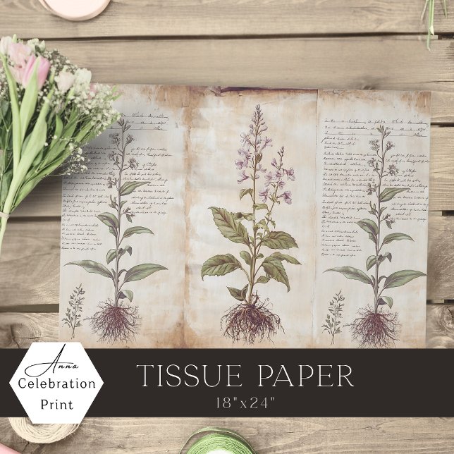 Antique Botanical Herbs Decoupage Tissue Paper (Creator Uploaded)