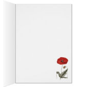 Antique Botanical Illustration Bright Red Poppy (Inside (Right))