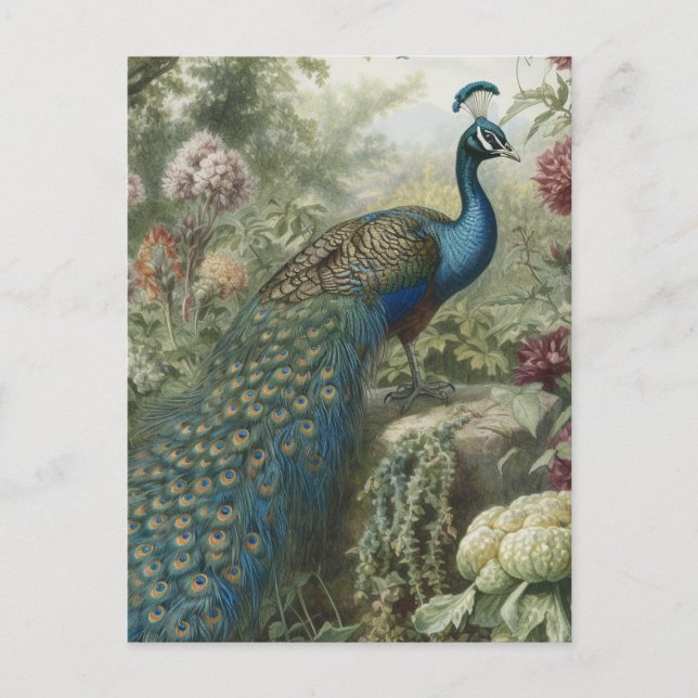 Antique Botanical Peacock Garden Art Stationery Postcard (Front)