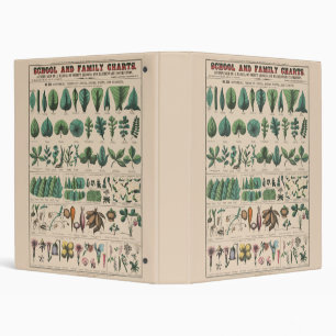 Antique Botanical School Chart Vintage Nature 3 Ring Binder