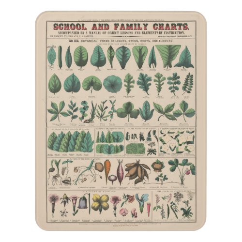 Antique Botanical School Chart Vintage Nature Door Sign
