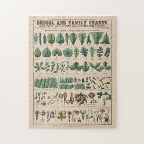 Antique Botanical School Chart Vintage Nature Jigsaw Puzzle
