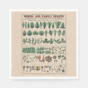 Antique Botanical School Chart Vintage Nature Napkins