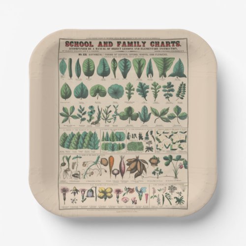 Antique Botanical School Chart Vintage Nature Paper Plates