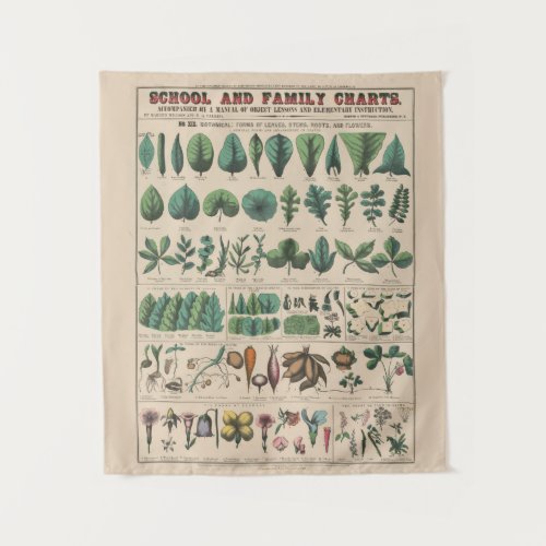 Antique Botanical School Chart Vintage Nature Tapestry