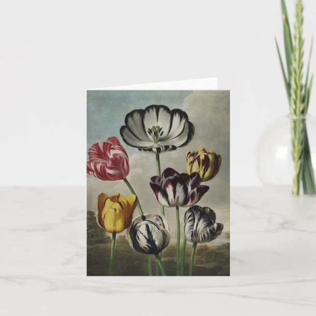 Antique botanicals tulips on notecards (Front)