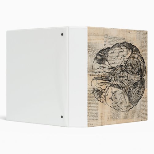 Antique Brain Diagram Old Fashioned Art 3 Ring Binder