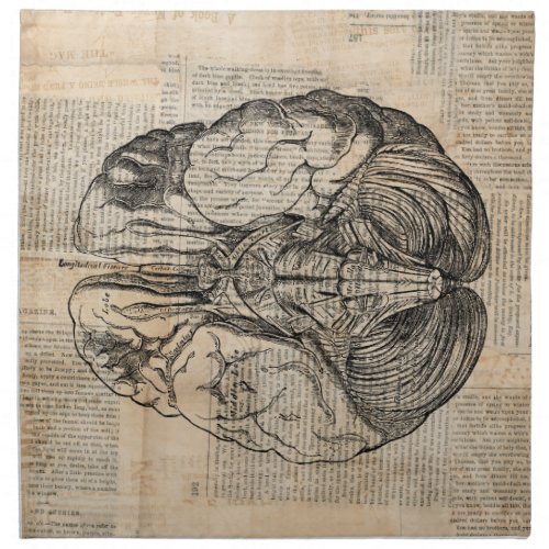 Antique Brain Diagram Old Fashioned Art Cloth Napkin