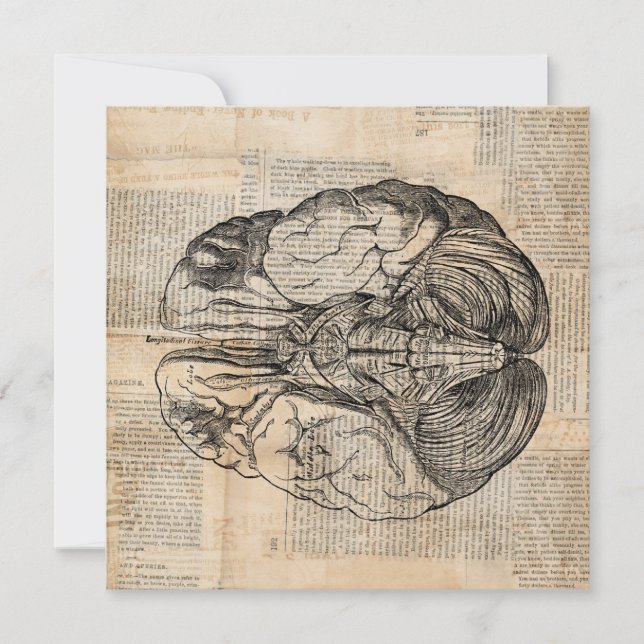 Antique Brain Diagram Old Fashioned Art Invitation (Front)
