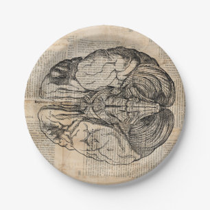 Antique Brain Diagram Old Fashioned Art Paper Plates