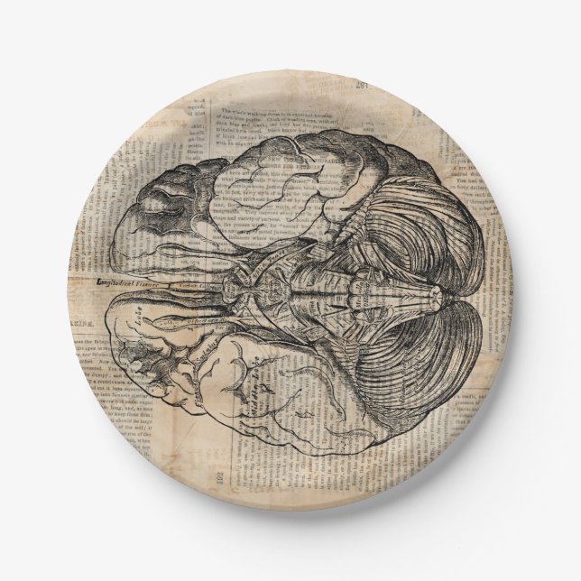 Antique Brain Diagram Old Fashioned Art Paper Plates (Front)