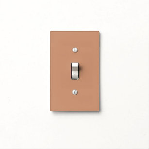 Antique Brass Light Switch Cover