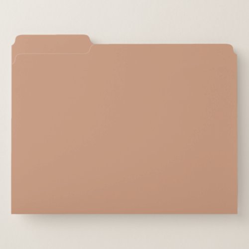 Antique brass solid color  file folder