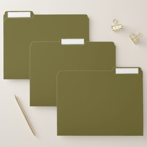 Antique bronze solid color  file folder