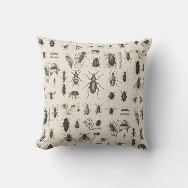 Antique Bugs and  Insects Entomology Throw Pillow (Front)