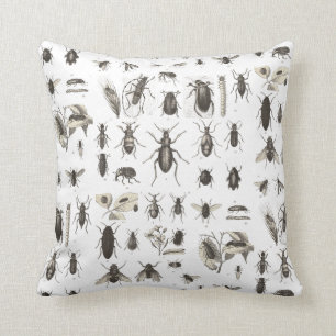 Antique Bugs and Insects Entomology Throw Pillow