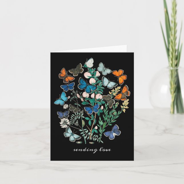 Antique butterflies and moths Colorful Invitation (Front)