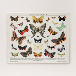Antique Butterflies and Moths Illustration Insects Jigsaw Puzzle