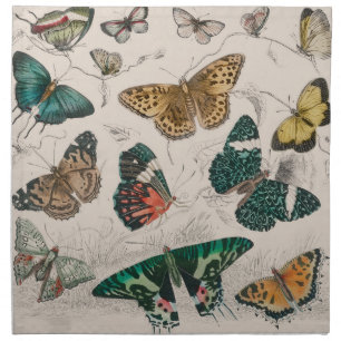 Antique Butterfly Illustration: 1820 Goldsmith Cloth Napkin