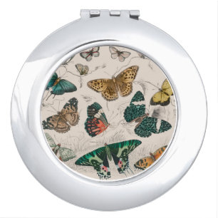 Antique Butterfly Illustration: 1820 Goldsmith Compact Mirror