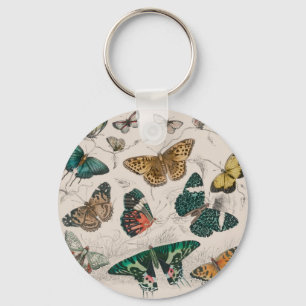 Antique Butterfly Illustration: 1820 Goldsmith Keychain