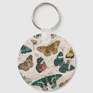 Antique Butterfly Illustration: 1820 Goldsmith Keychain